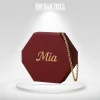 custom-chain-bra-packaging-boxes