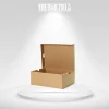 custom-kraft-shoe-boxes
