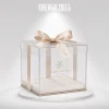 Custom Transparent Gift Boxes Custom Transparent Gift Boxes