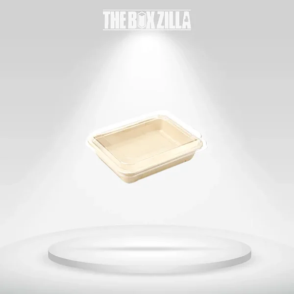 Lined Sugarcane Trays_5