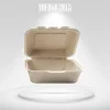 Sugarcane Bento Boxes (1)_1
