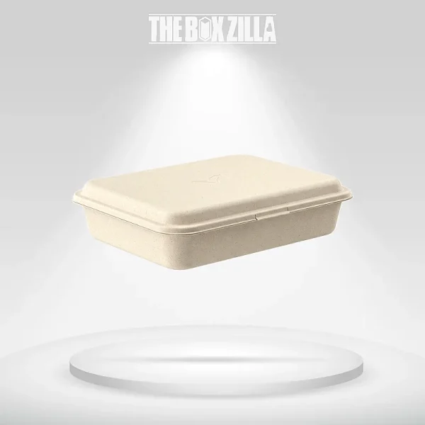 Sugarcane Bento Boxes