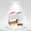 custom-window-pizza-boxes-3